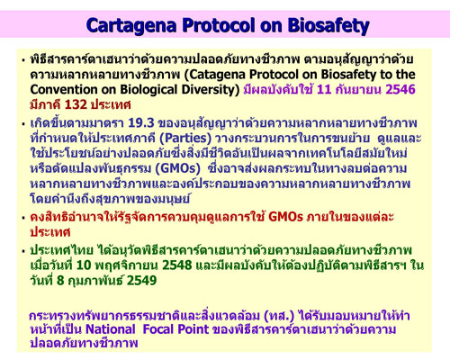 ppt bg Page 002