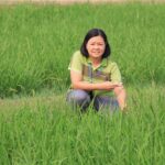 BIOTEC’s campaign on “Response of Thai rice varieties under elevated CO2 concentrations” selected for crowdfunding by experiment.com