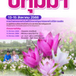 🌸🌺 เตรียมพบกับมนต์เสน่ห์แห่งความงามของ ดอกปทุมมา! 🌺🌸