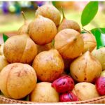 Webinar สารสกัดจากจันทน์เทศ เพื่อเพิ่มมูลค่าสู่ผลิตภัณฑ์ยุคใหม่