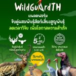 WildGuardTH เมื่อนักอนุรักษ์สวมบท “พ่อสื่อ” สแกนโปรไฟล์พันธุกรรม เพื่อหา “คู่แท้” ให้สัตว์ใกล้สูญพันธุ์