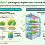 ยกระดับ “บัวบกไทย” สู่พืชเศรษฐกิจมูลค่าสูงด้วยนวัตกรรมเกษตรสมัยใหม่