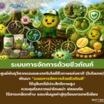 การจัดการโรคและแมลงศัตรูทุเรียนด้วยเทคโนโลยีชีวภัณฑ์จาก ไบโอเทค