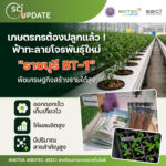 ไบโอเทค สวทช. ปั้นสมุนไพรพื้นบ้านสู่พืชเศรษฐกิจมูลค่าสูง